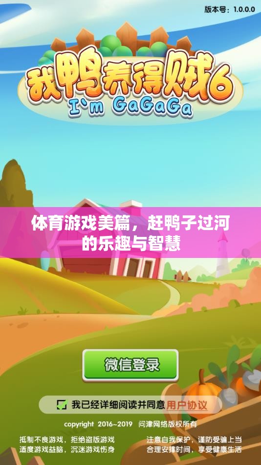 趕鴨子過(guò)河，體育游戲中的樂(lè)趣與智慧