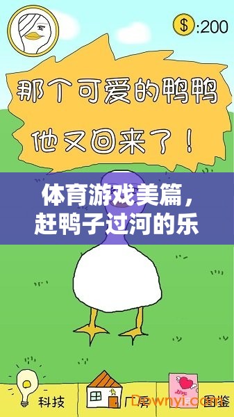 趕鴨子過(guò)河，體育游戲中的樂(lè)趣與智慧
