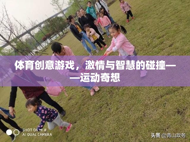 運動奇想，體育創(chuàng)意游戲——激情與智慧的碰撞
