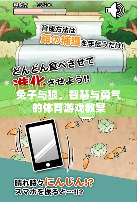 兔子與狼，智慧與勇氣的體育游戲教案