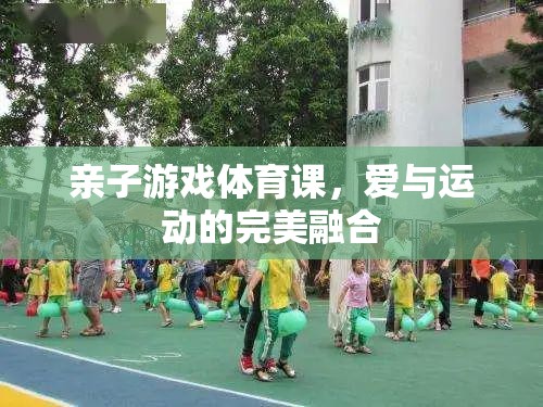 親子游戲體育課，愛與運動的完美融合