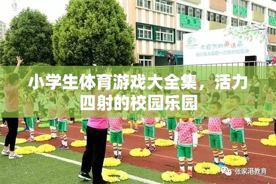 小學生體育游戲大全集，打造活力四射的校園樂園