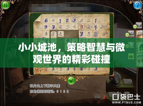小小城池，策略智慧與微觀世界的精彩碰撞