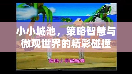 小小城池，策略智慧與微觀世界的精彩碰撞