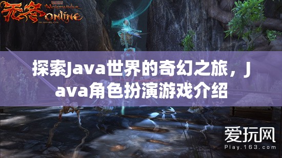 探索Java世界的奇幻之旅，揭秘Java角色扮演游戲
