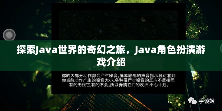 探索Java世界的奇幻之旅，揭秘Java角色扮演游戲