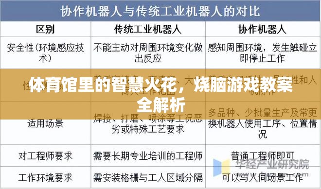 智慧火花，體育館中的燒腦游戲教案全解析