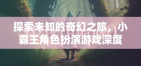 探索未知的奇幻之旅，小霸王角色扮演游戲深度解析