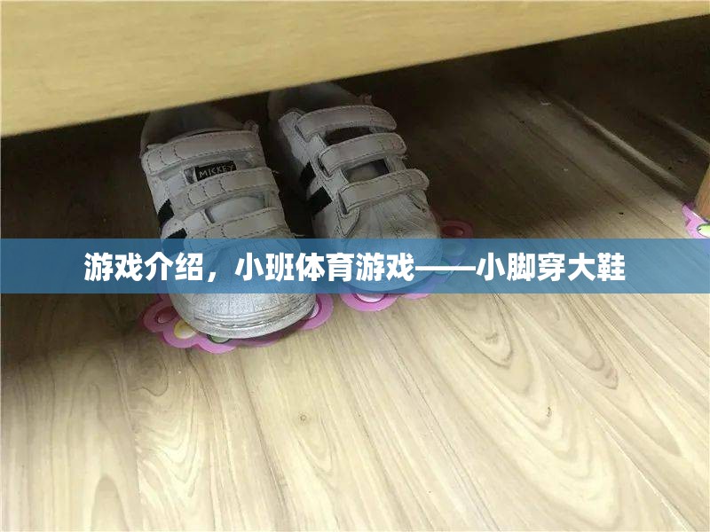 小班體育游戲，小腳穿大鞋的趣味挑戰(zhàn)