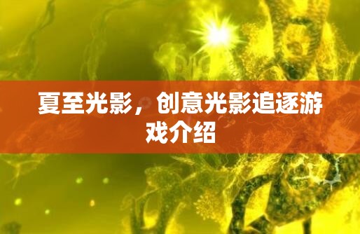 夏至光影，探索創(chuàng)意光影追逐游戲的樂趣