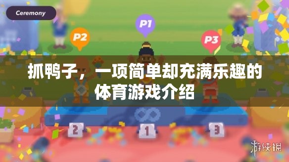 歡樂挑戰(zhàn)，抓鴨子——簡(jiǎn)單中的樂趣與智慧