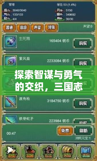智勇交織，三國(guó)志策略天下游戲深度解析