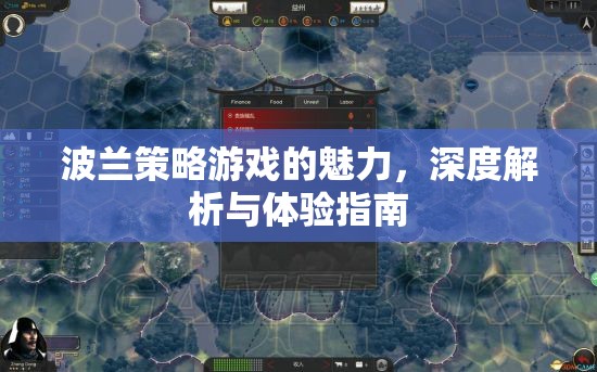 波蘭策略游戲的魅力，深度解析與體驗(yàn)指南