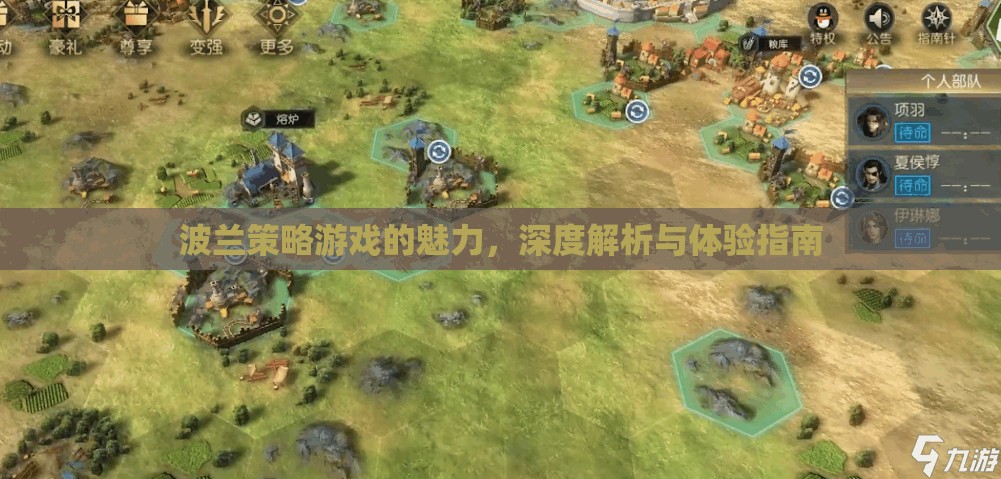 波蘭策略游戲的魅力，深度解析與體驗(yàn)指南