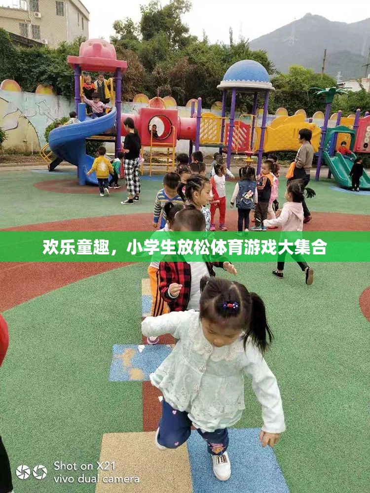 歡樂童趣，小學(xué)生放松體育游戲精選集錦
