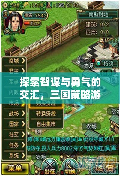 智勇交匯，三國(guó)策略游戲的深度解析