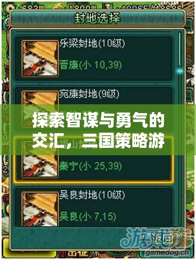 智勇交匯，三國(guó)策略游戲的深度解析