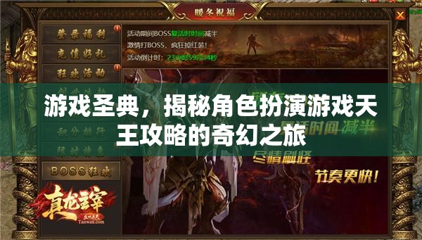 游戲圣典，揭秘角色扮演游戲天王攻略的奇幻之旅