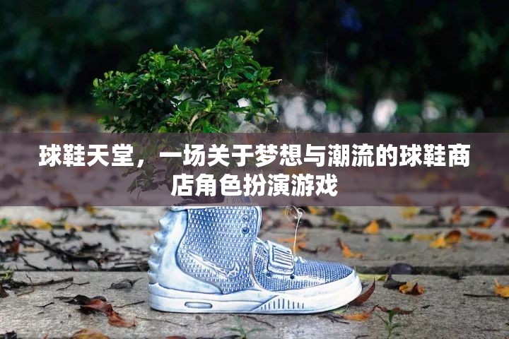 夢(mèng)想與潮流的交匯，球鞋天堂的虛擬角色扮演游戲
