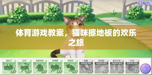 貓咪擦地板，歡樂體育游戲教案