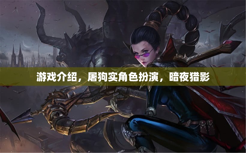 暗夜獵影，屠狗實(shí)角色扮演的冒險(xiǎn)之旅