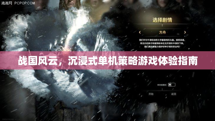 戰(zhàn)國風(fēng)云，沉浸式單機(jī)策略游戲攻略指南