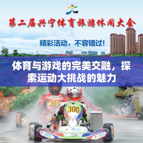 體育與游戲的完美交融，探索運(yùn)動(dòng)大挑戰(zhàn)的魅力