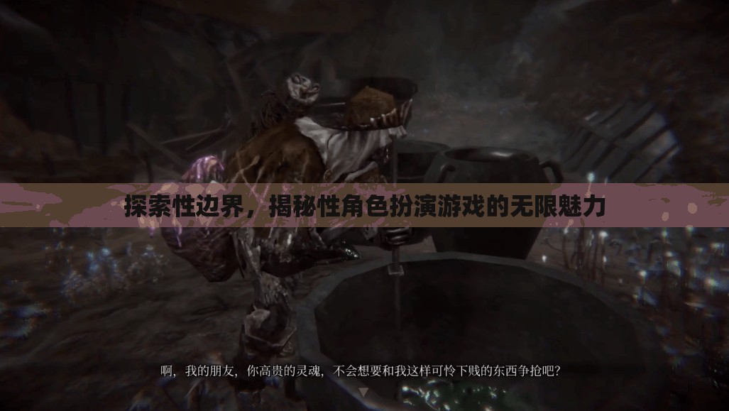 探索性邊界，揭秘性角色扮演游戲的無(wú)限魅力