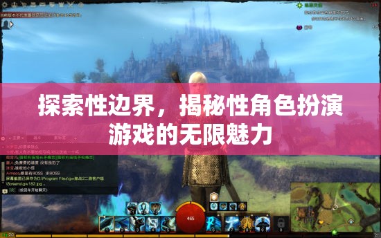 探索性邊界，揭秘性角色扮演游戲的無(wú)限魅力