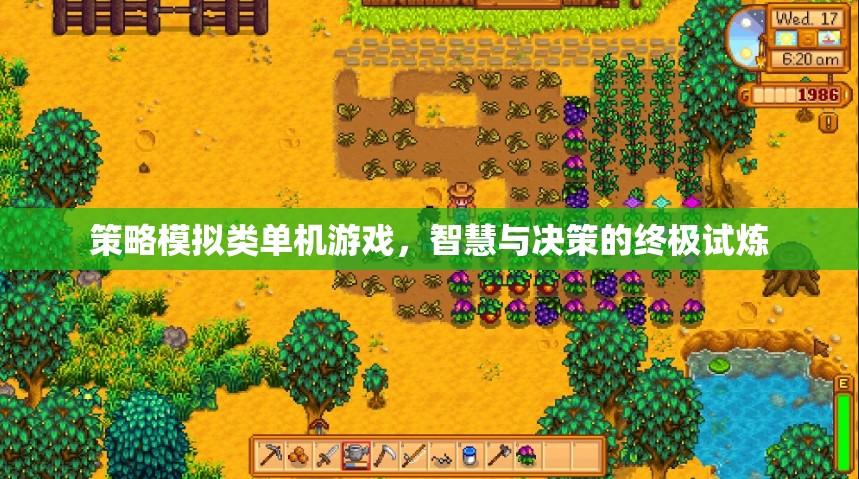 智慧與決策的終極試煉，策略模擬類單機游戲