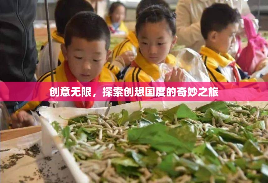 創(chuàng)意無(wú)界，探索創(chuàng)想國(guó)度的奇妙之旅