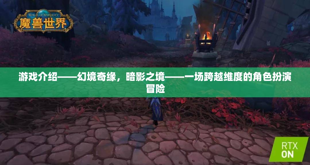 暗影之境，幻境奇緣——一場跨越維度的角色扮演冒險之旅