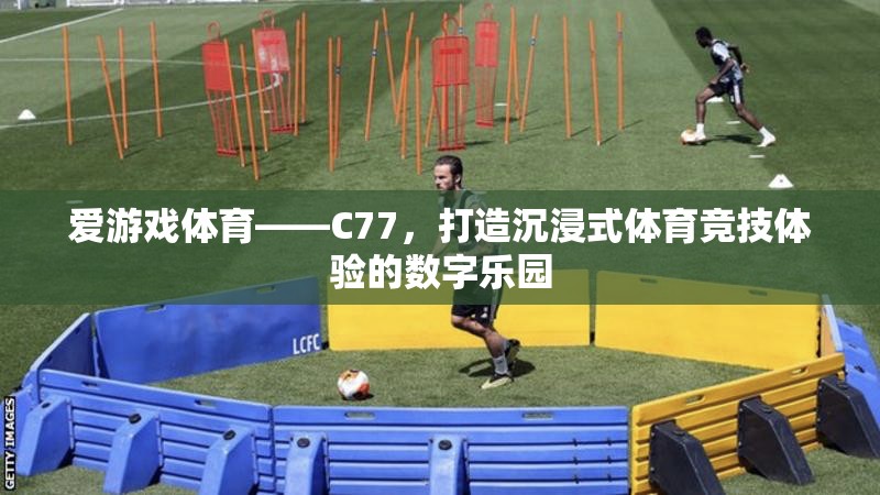 C77，愛游戲體育的數(shù)字樂園，打造沉浸式體育競技新體驗