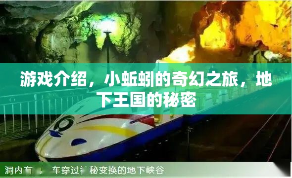 小蚯蚓的奇幻之旅，揭秘地下王國的秘密