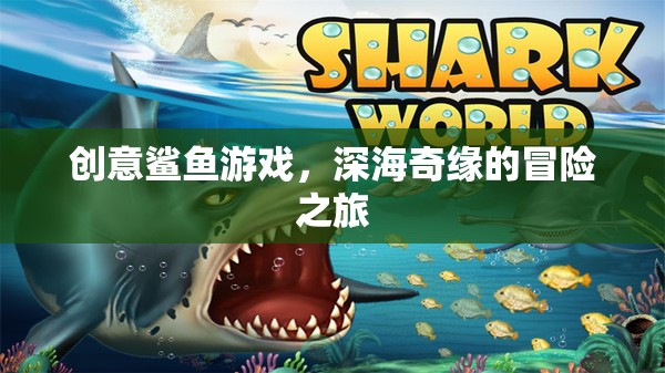 深海奇緣，創(chuàng)意鯊魚游戲的冒險(xiǎn)之旅