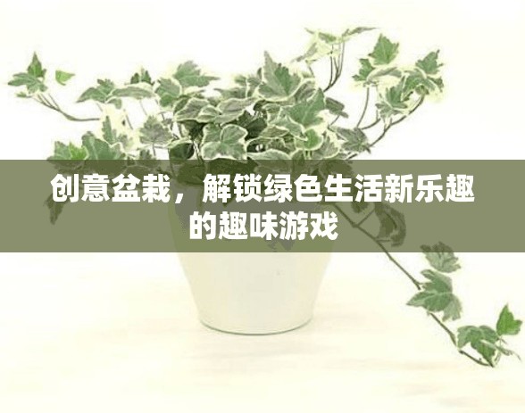 創(chuàng)意盆栽，解鎖綠色生活新樂趣的趣味游戲
