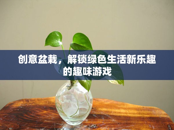 創(chuàng)意盆栽，解鎖綠色生活新樂趣的趣味游戲