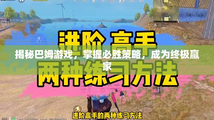 揭秘巴姆游戲，解鎖必勝策略，成就終極贏家