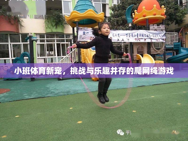 小班體育新寵，爬網(wǎng)繩游戲——挑戰(zhàn)與樂趣的完美結(jié)合