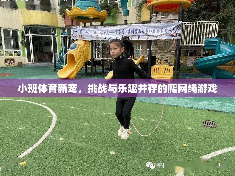 小班體育新寵，爬網(wǎng)繩游戲——挑戰(zhàn)與樂趣的完美結(jié)合
