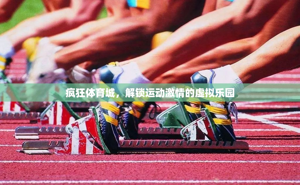 解鎖運(yùn)動(dòng)激情，瘋狂體育城的虛擬樂園  第2張