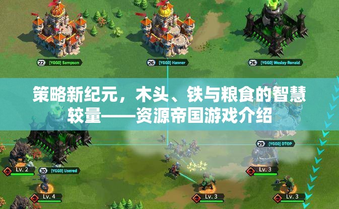 策略新紀(jì)元，資源帝國游戲中的木頭、鐵與糧食智慧較量