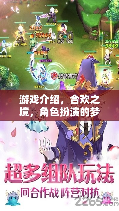 合歡之境，夢(mèng)幻角色扮演之旅  第2張