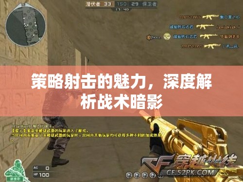 戰(zhàn)術暗影，深度剖析策略射擊的獨特魅力