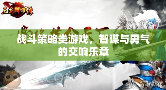 智謀與勇氣的交響，戰(zhàn)斗策略游戲
