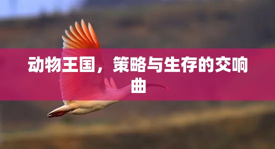 動物王國，策略與生存的交響樂章