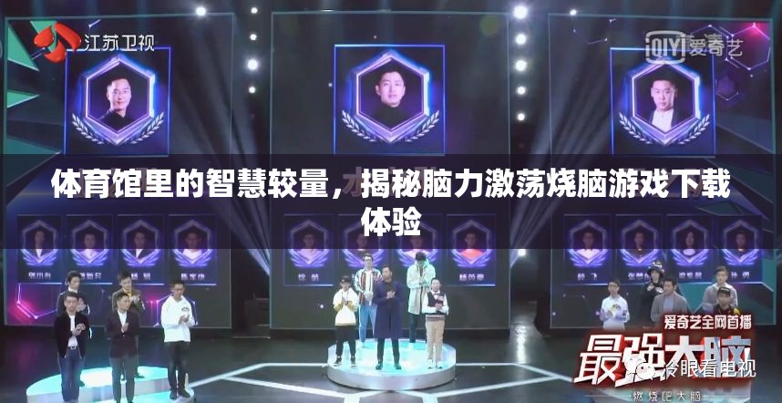 智慧對(duì)決，揭秘體育館中的腦力激蕩燒腦游戲下載體驗(yàn)