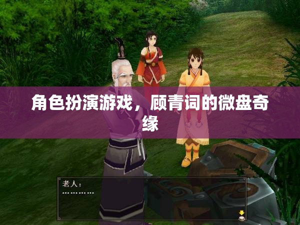顧青詞的微盤奇緣，角色扮演游戲的冒險(xiǎn)之旅