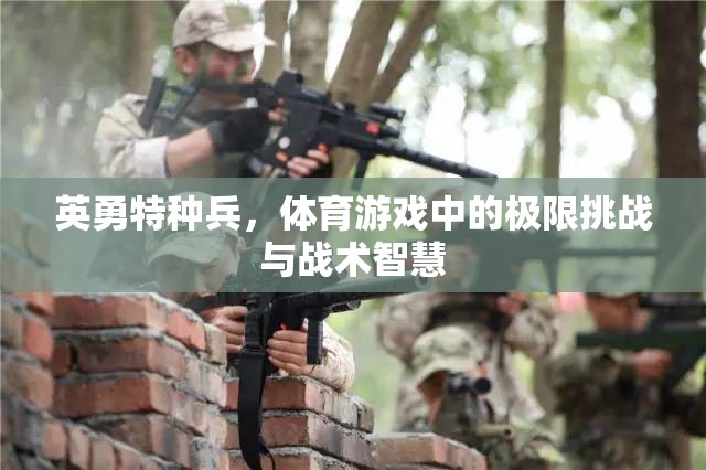 特種兵的極限挑戰(zhàn)，體育游戲中的戰(zhàn)術(shù)智慧與英勇精神