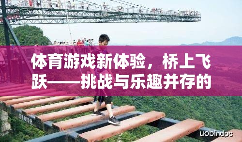 橋上飛躍，挑戰(zhàn)與樂(lè)趣并存的架橋過(guò)河之旅  第3張